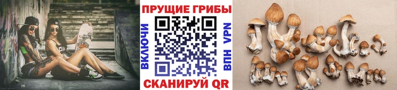 цены наркотик  Гаврилов Посад  Галлюциногенные грибы мухоморы 
